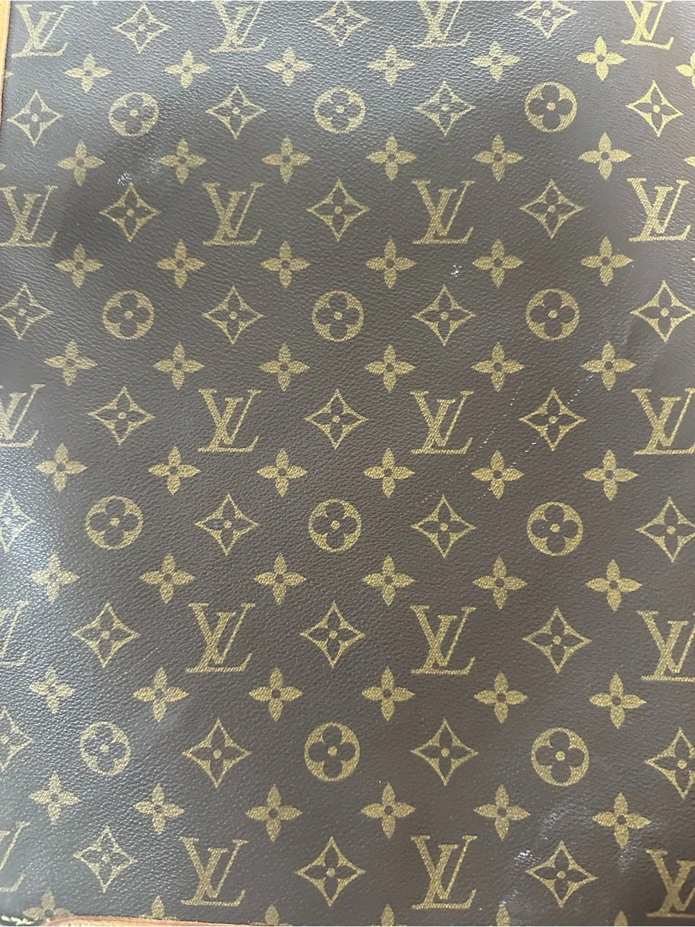 Louis Vuitton Garment Bag